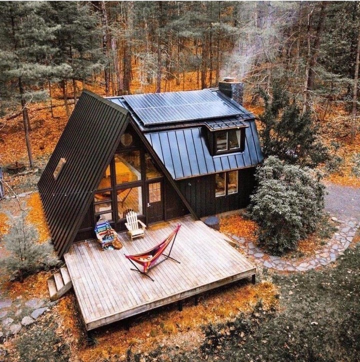 awesome forest home