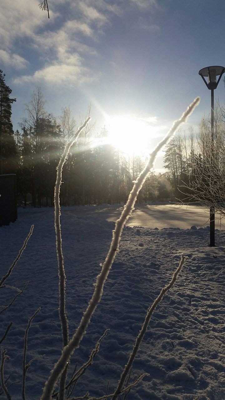 Its frozen!!