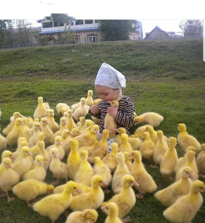 Com carinho pra vocês curtirem amigo..