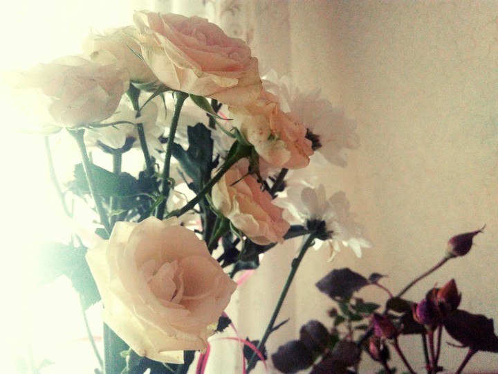 Gold rose