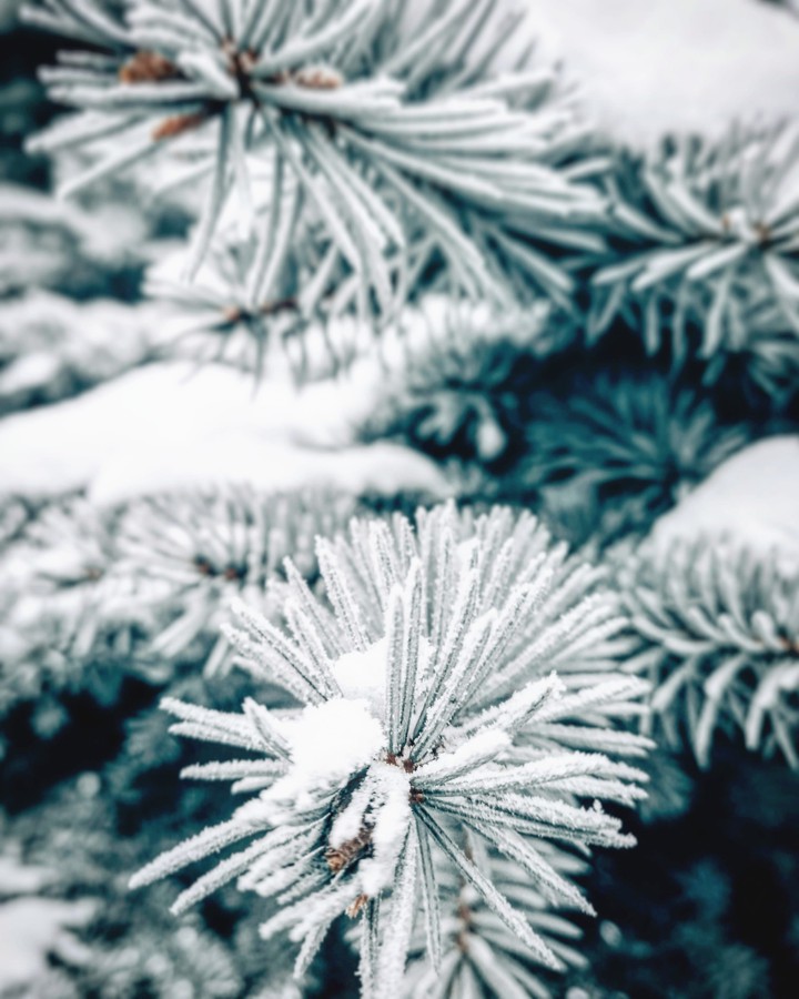 Winter Siberia