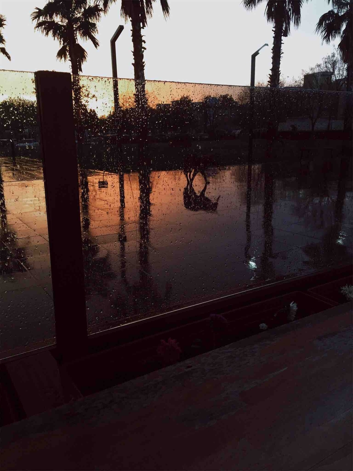 Rainy Day