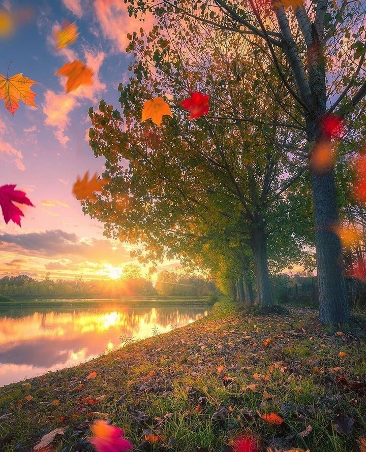 #autumn