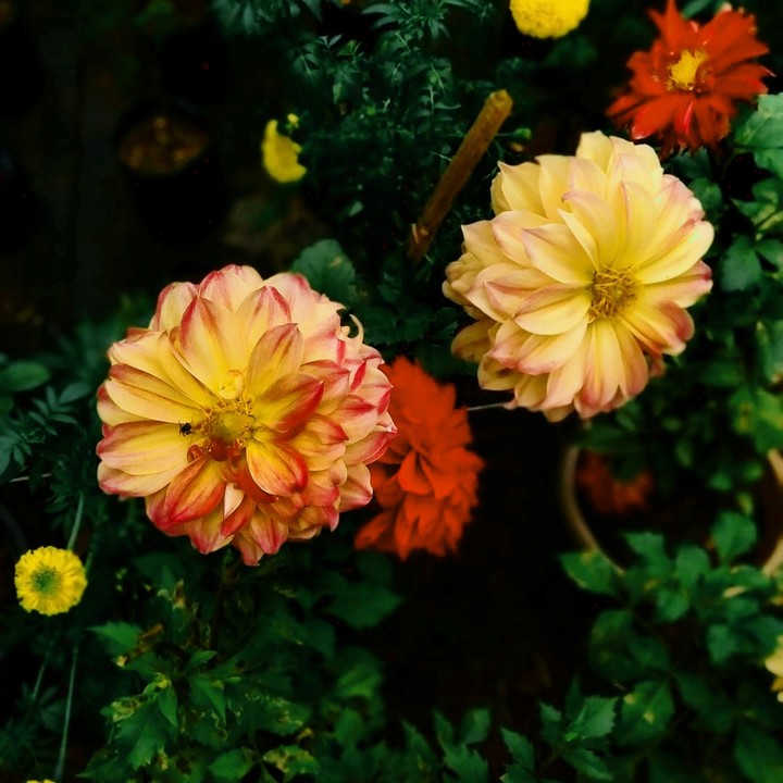nature love