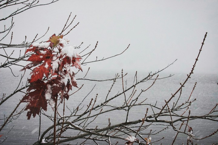 snow