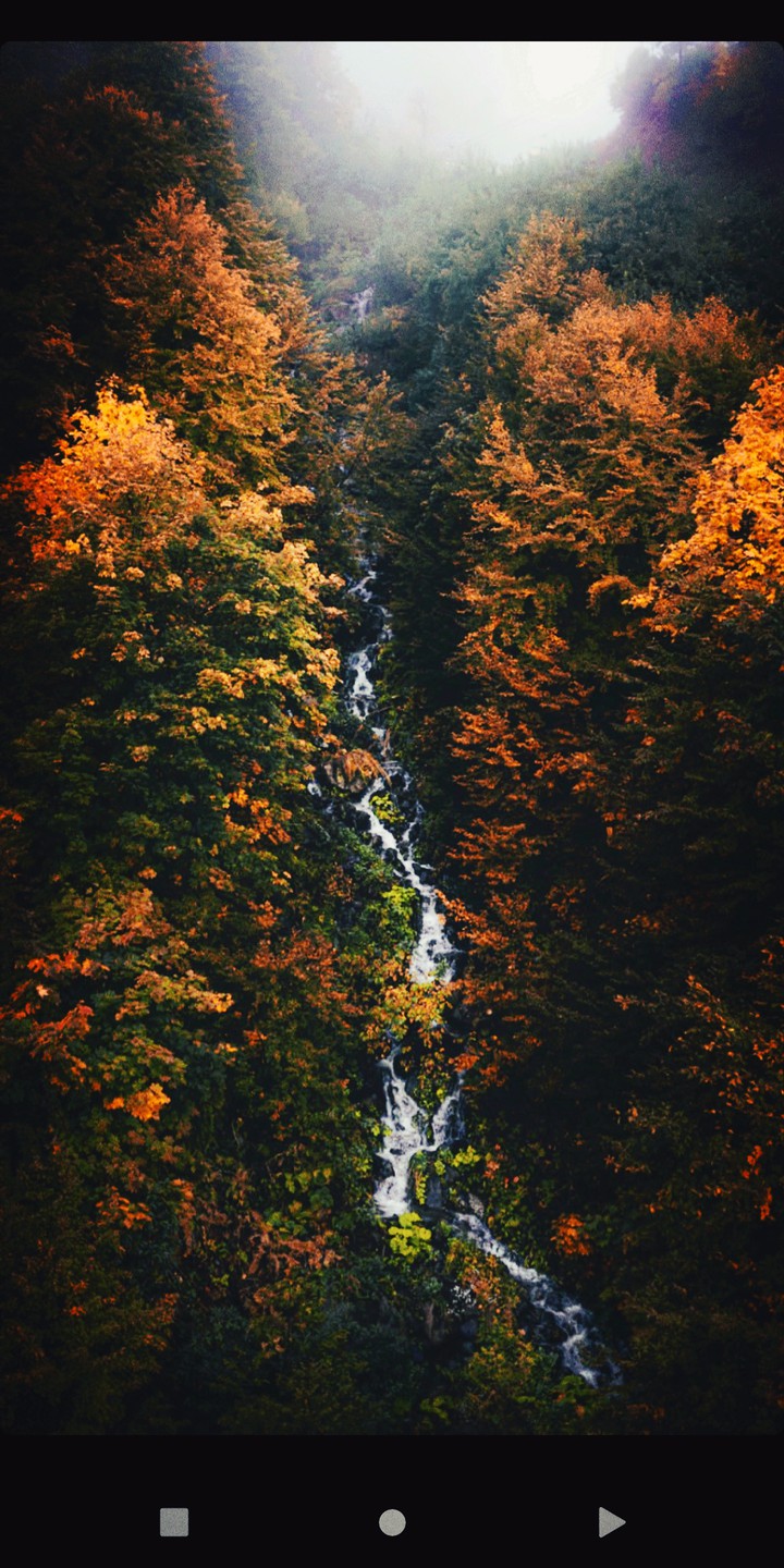 осень