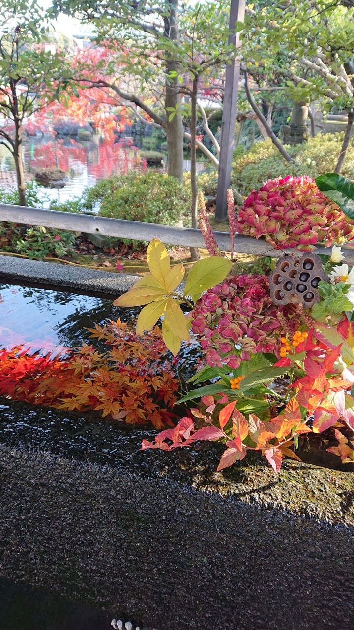 autumn