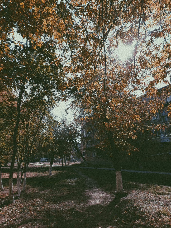 autumn