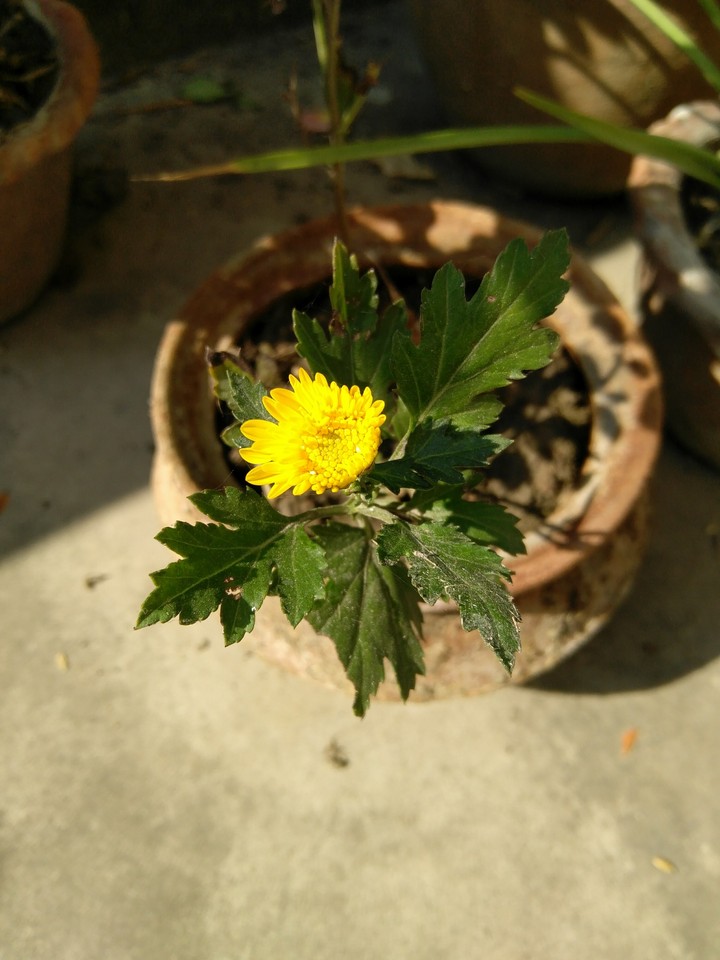 little one