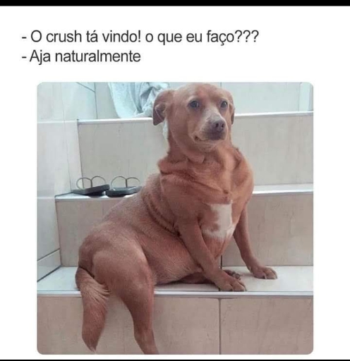 haha