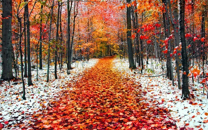 autumn and winter