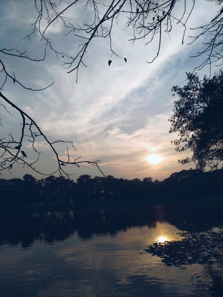 winter sun