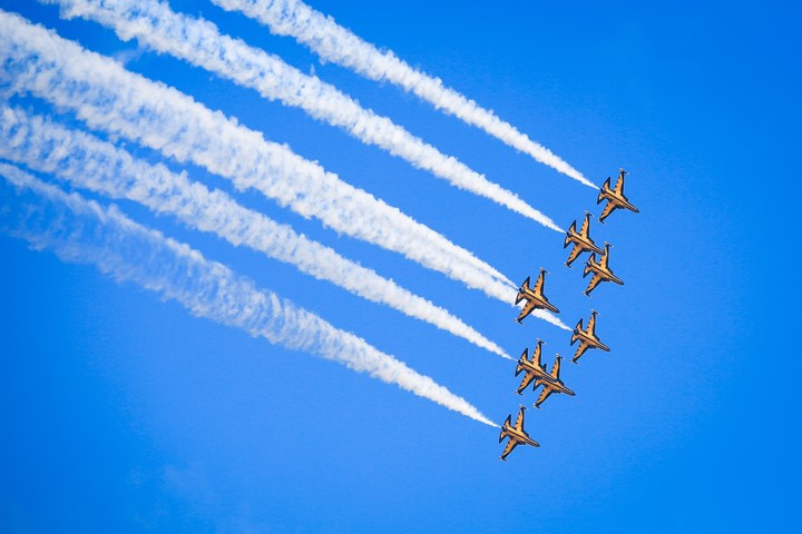 Black eagle