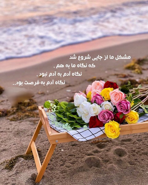 Text ✍ Sussan ✍