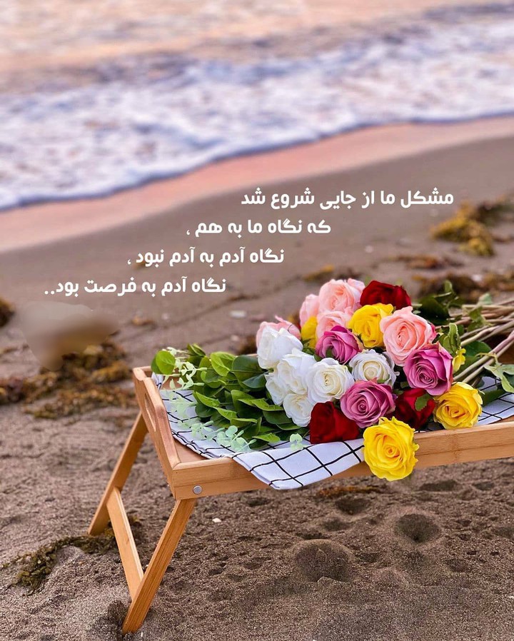 Text ✍ Sussan ✍