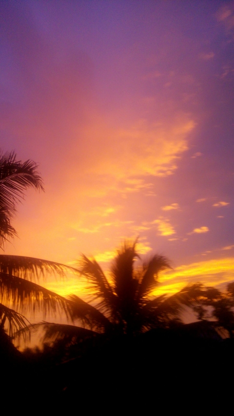 sun, dawn वॉलपेपर
