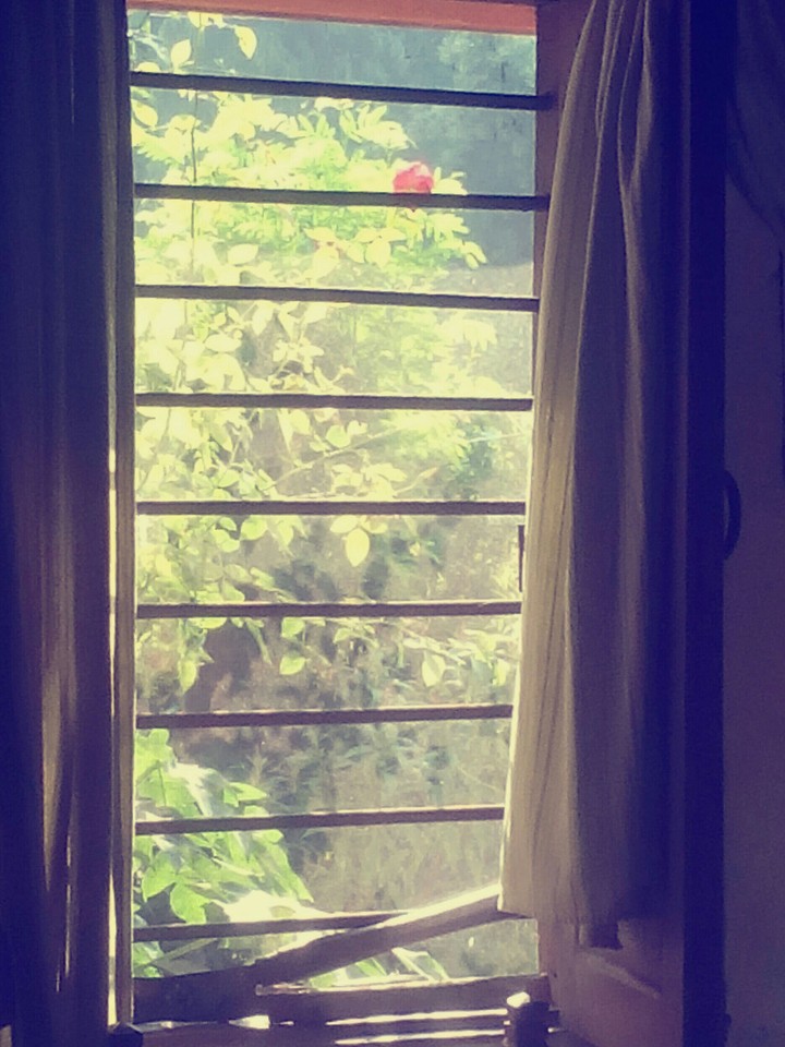 Sunday.