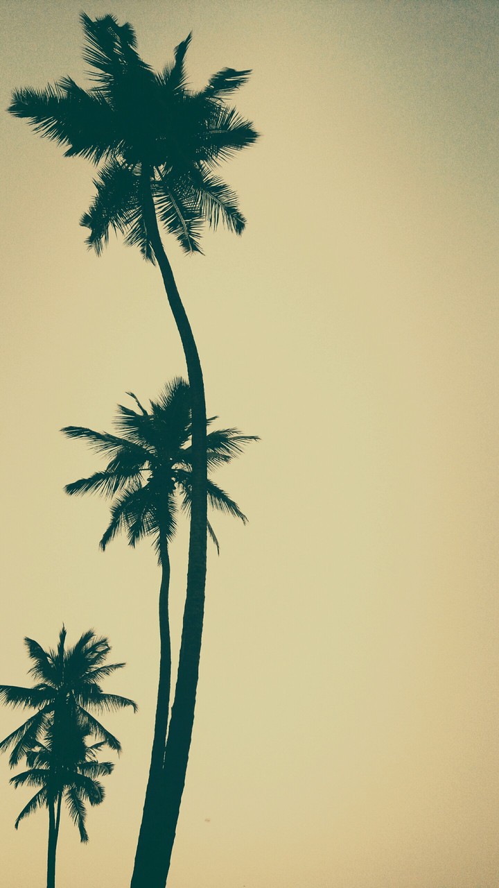 #trees