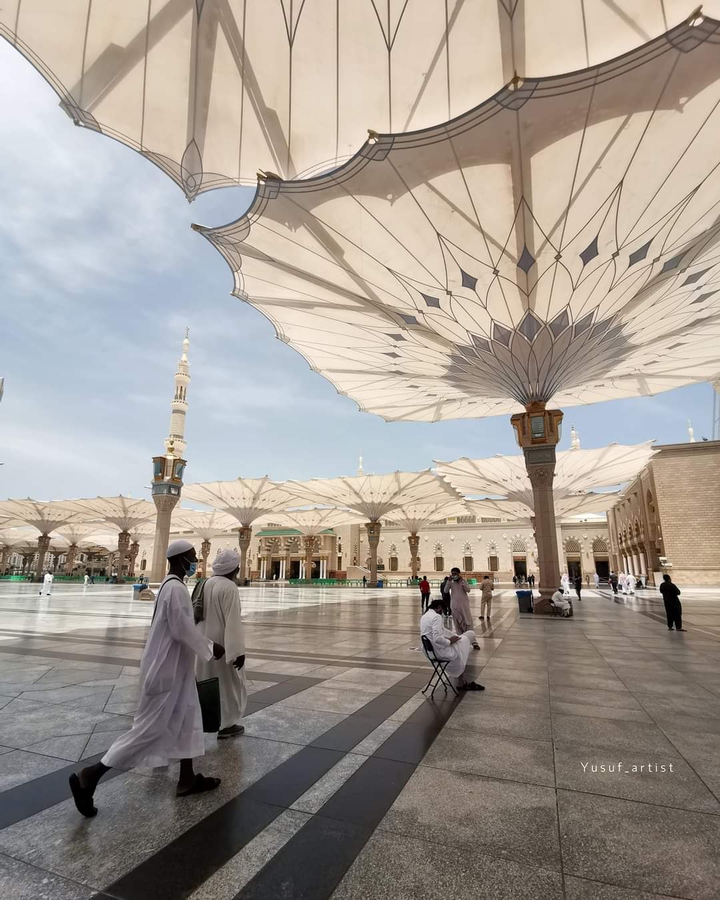 المدينة