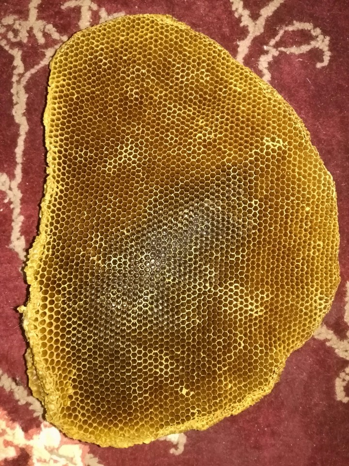 کندوی عسل