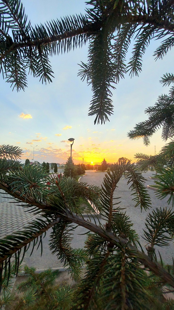 sunset