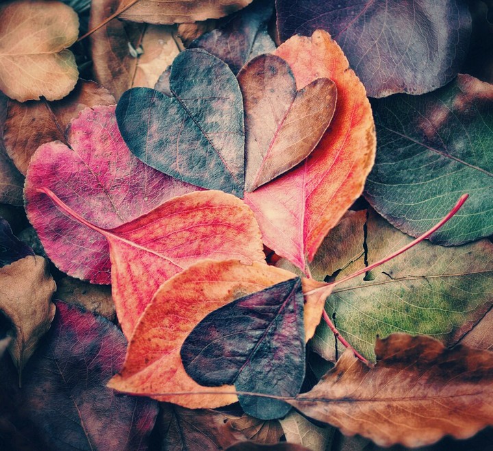 Autumn
