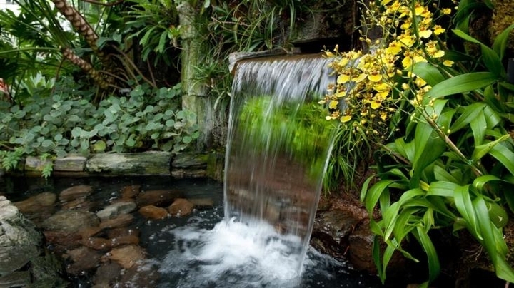 Nature's melody...
