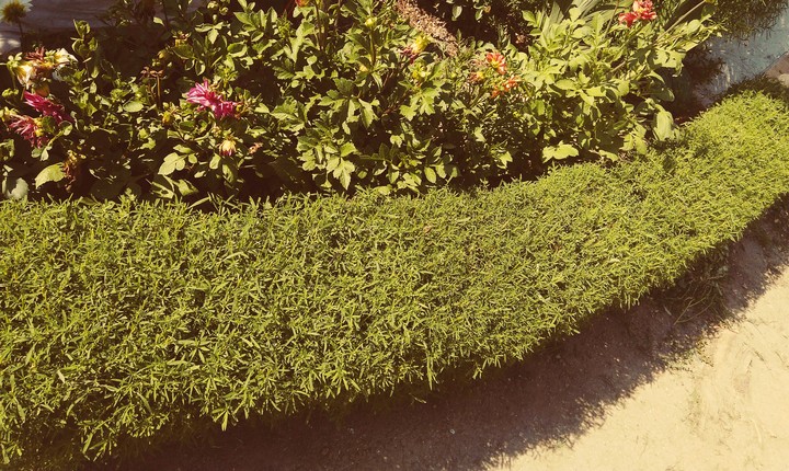 :)