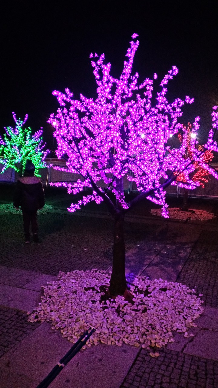 luzes