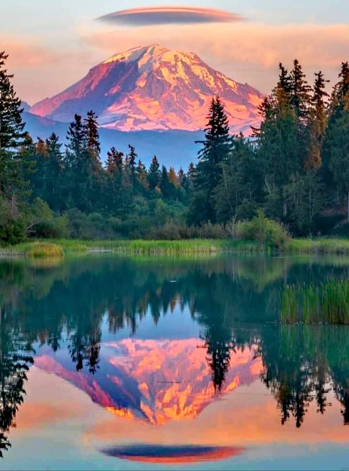 sunset moof