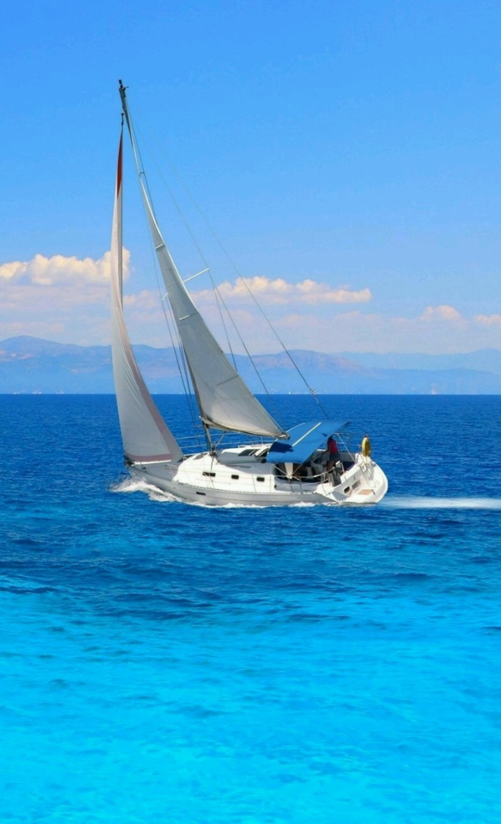 beautiful life of sea