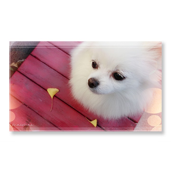 ✧(≖ ◡ ≖✿)❤