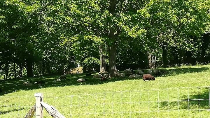 journée au parc