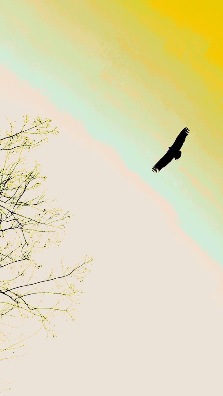 yello sky
