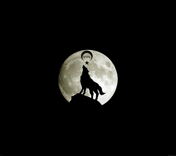 Wolf born TÜRKİYE