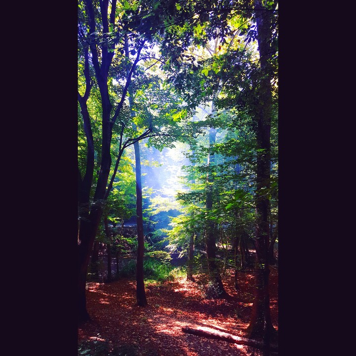 Magical