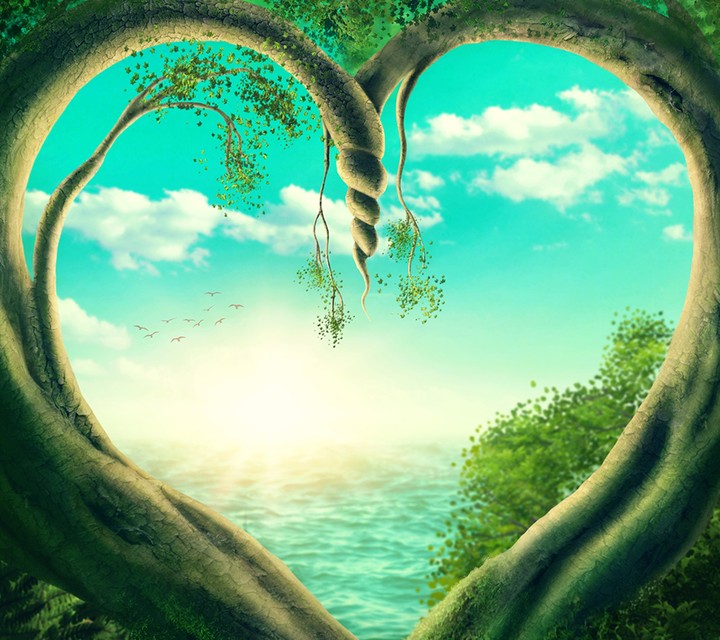 love