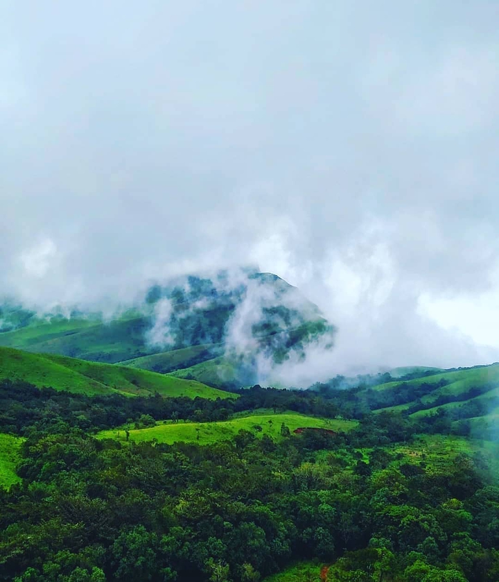 nature