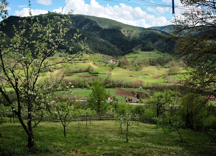 Mokra Gora