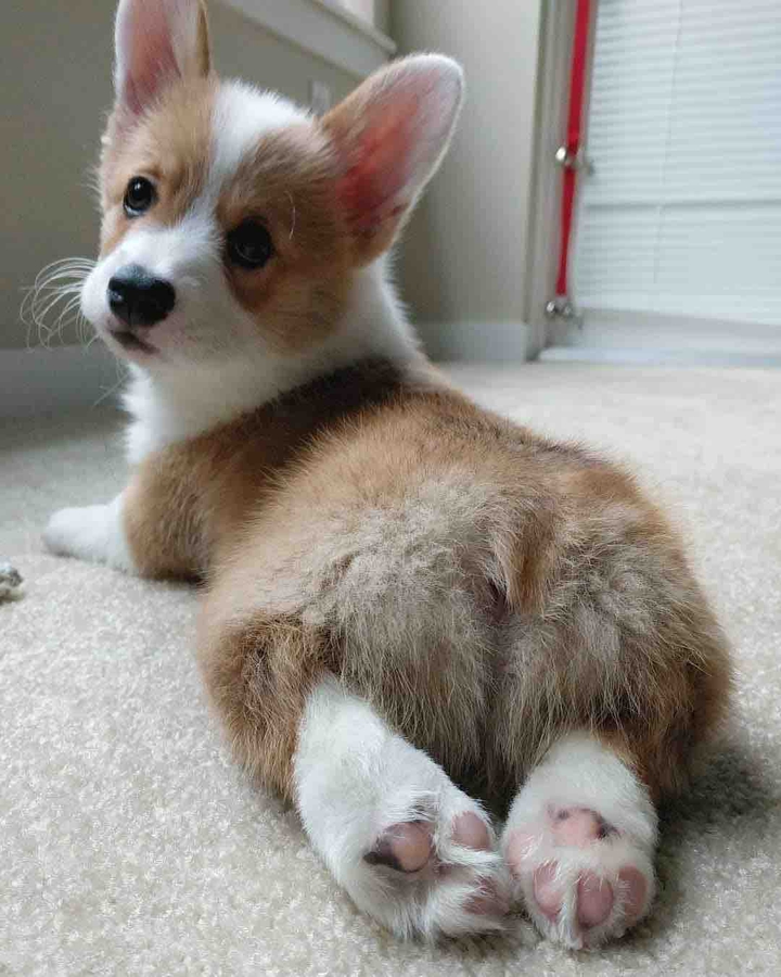 cute