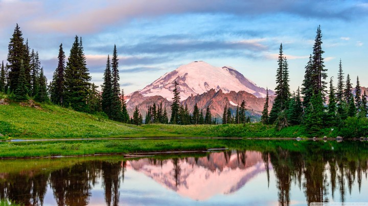 Nature