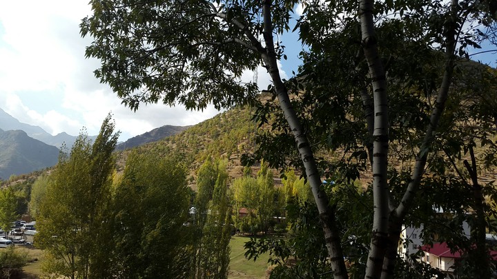 Ağaç