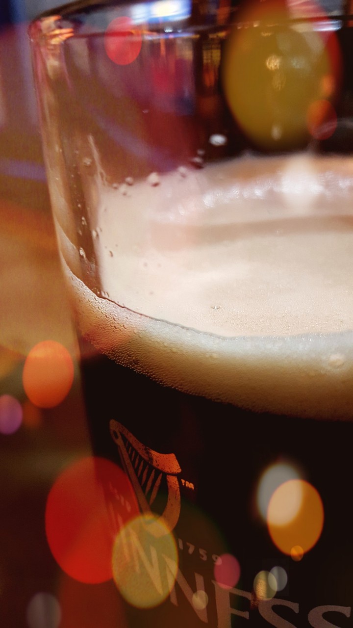 Guinness bear