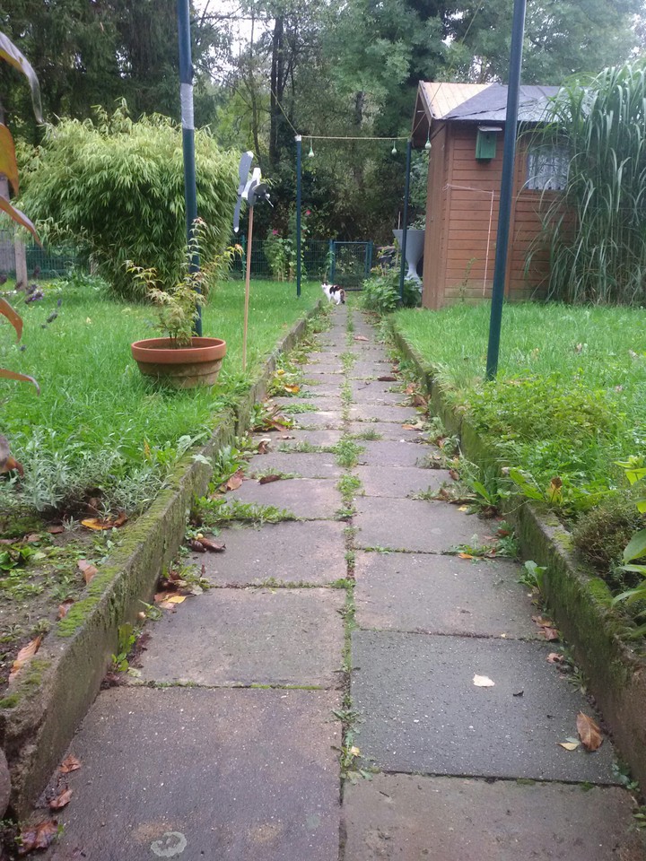 Gartenweg im Herbst