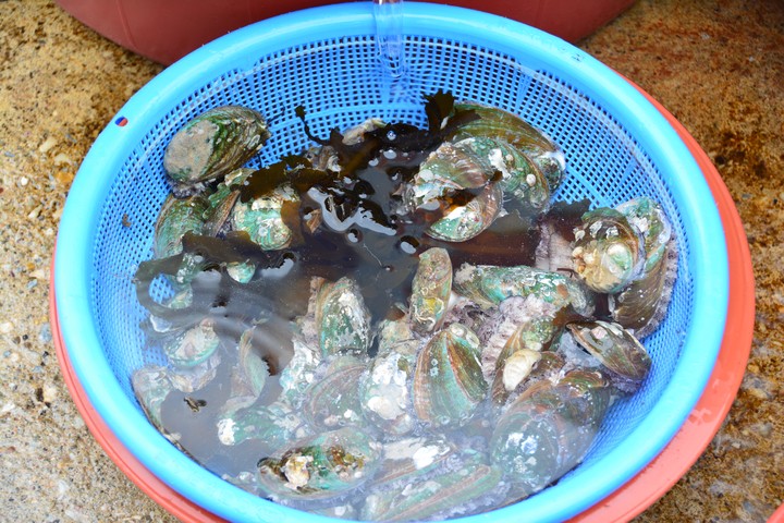 해수욕장이미지