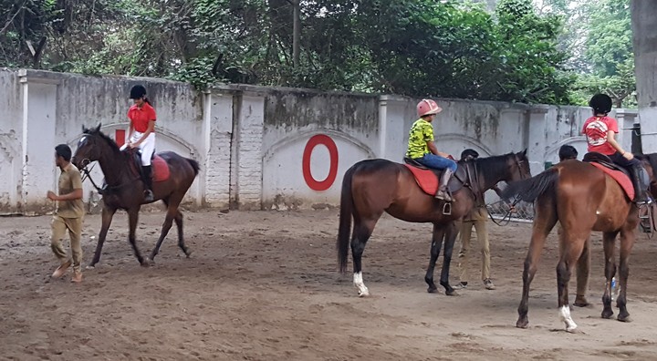 Hourse Riding Training