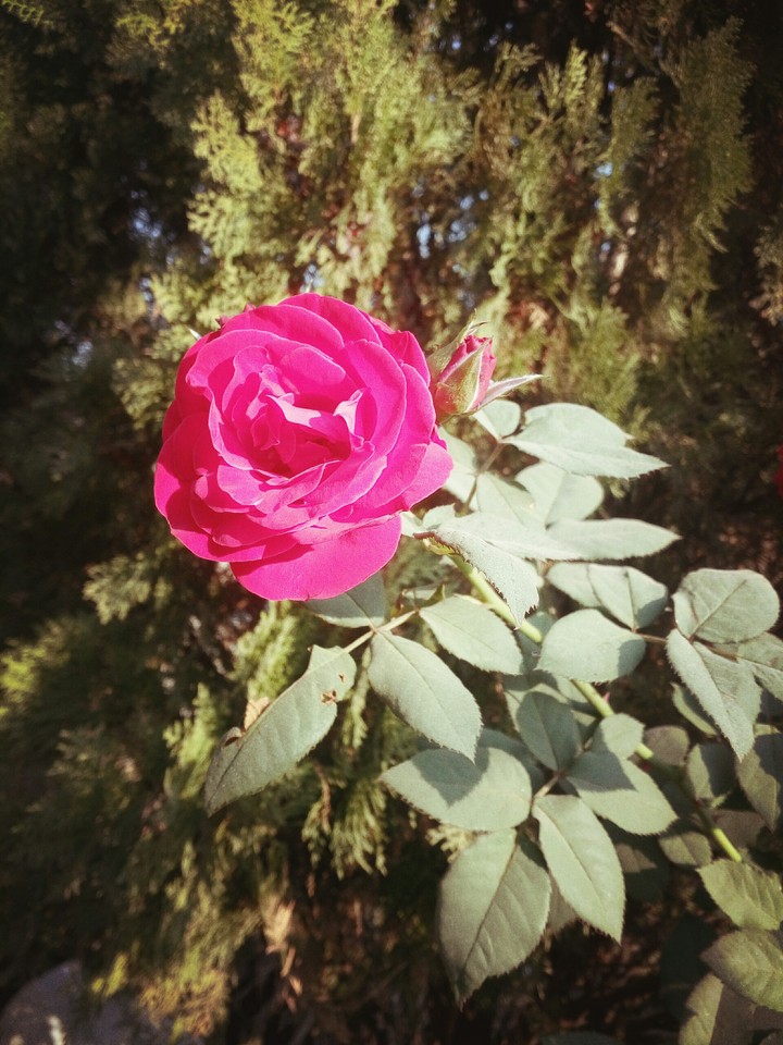 Have a good day