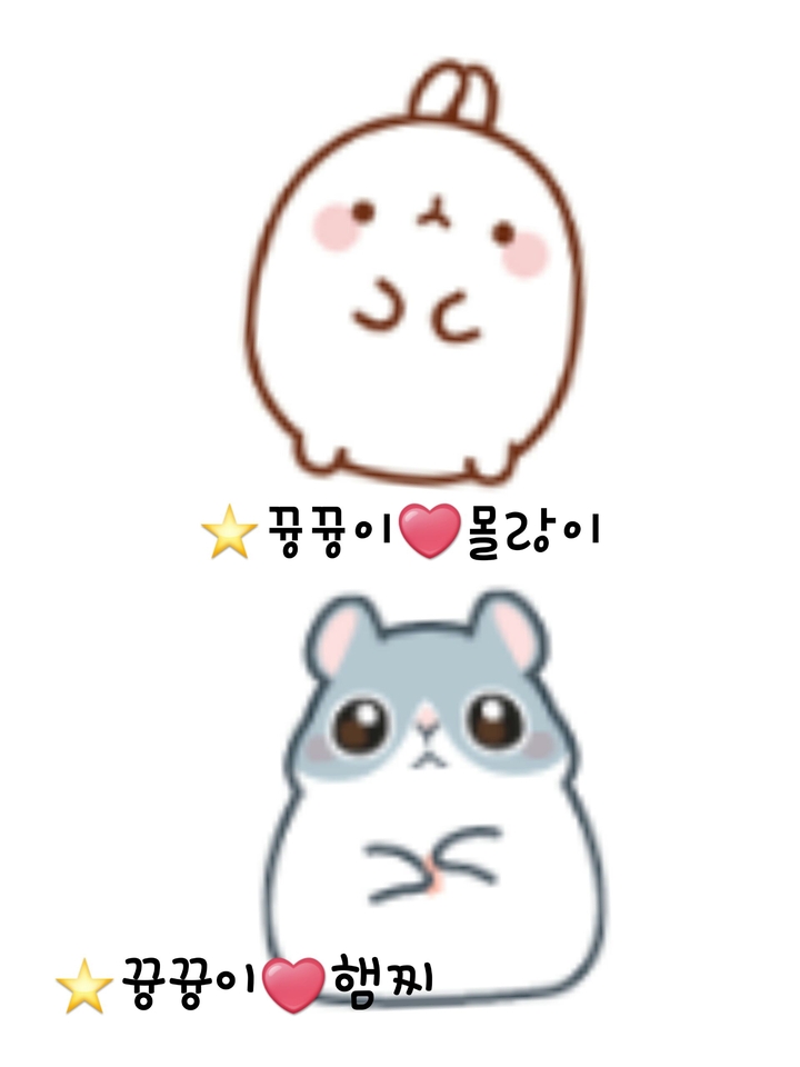 뀽이 헬로펫 앱 강츄 임당ㅎㅎ