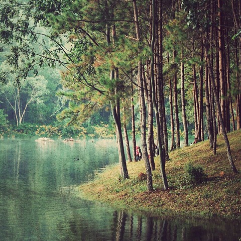 bayou