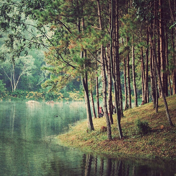 bayou